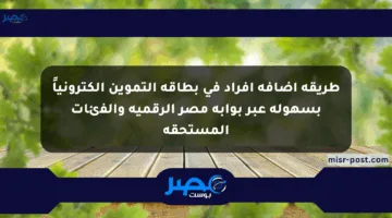 طريقة إضافة أفراد في بطاقة التموين إلكترونياً بسهولة عبر بوابة مصر الرقمية والفئات المستحقة